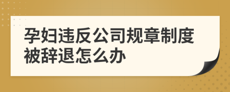 孕妇违反公司规章制度被辞退怎么办