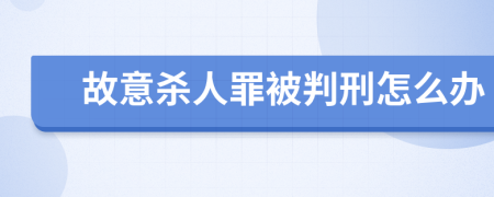 故意杀人罪被判刑怎么办