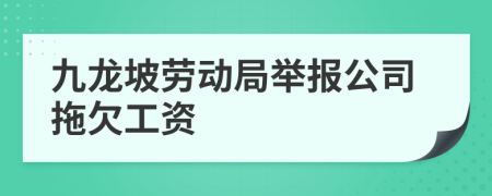 九龙坡劳动局举报公司拖欠工资