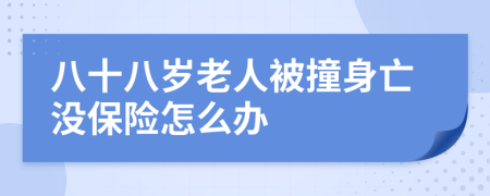 八十八岁老人被撞身亡没保险怎么办
