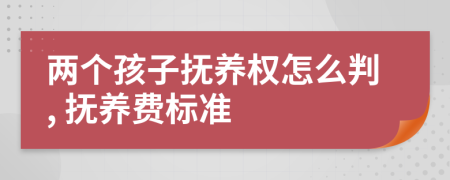 两个孩子抚养权怎么判, 抚养费标准