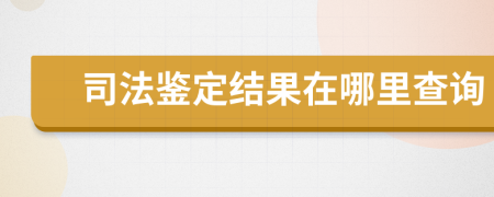 司法鉴定结果在哪里查询