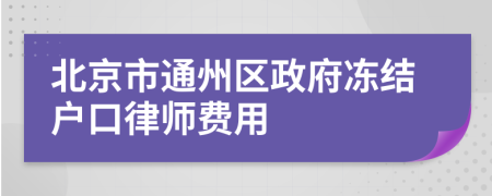 北京市通州区政府冻结户口律师费用