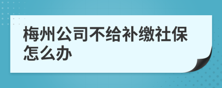 梅州公司不给补缴社保怎么办