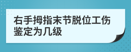 右手拇指末节脱位工伤鉴定为几级