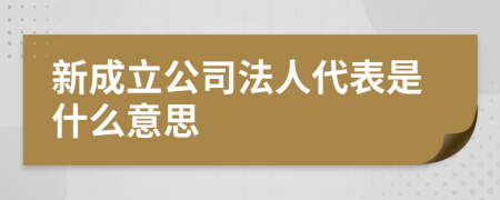 新成立公司法人代表是什么意思