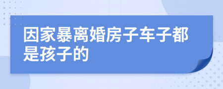 因家暴离婚房子车子都是孩子的