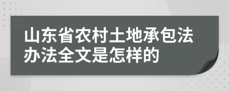 山东省农村土地承包法办法全文是怎样的