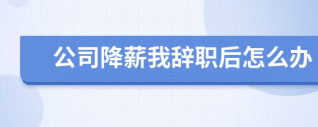 公司降薪我辞职后怎么办