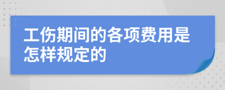 工伤期间的各项费用是怎样规定的