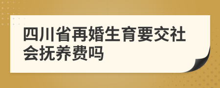 四川省再婚生育要交社会抚养费吗