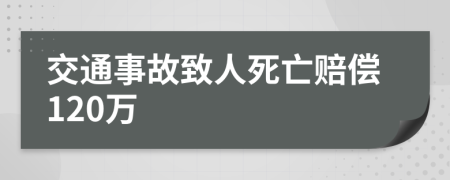 交通事故致人死亡赔偿120万