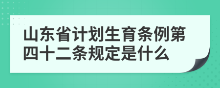 山东省计划生育条例第四十二条规定是什么