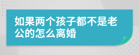 如果两个孩子都不是老公的怎么离婚