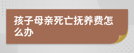 孩子母亲死亡抚养费怎么办