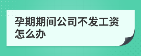 孕期期间公司不发工资怎么办