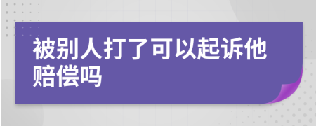 被别人打了可以起诉他赔偿吗