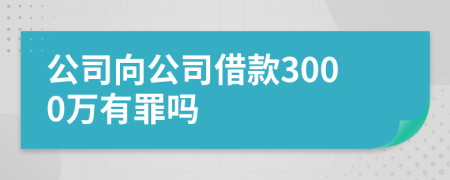 公司向公司借款3000万有罪吗