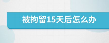 被拘留15天后怎么办