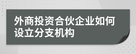 外商投资合伙企业如何设立分支机构