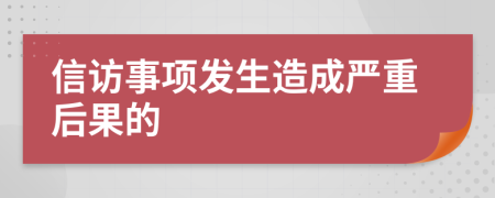 信访事项发生造成严重后果的