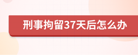 刑事拘留37天后怎么办