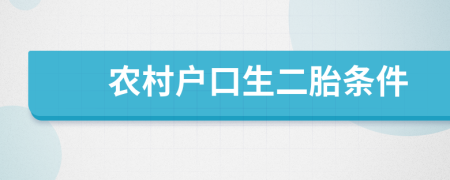 农村户口生二胎条件