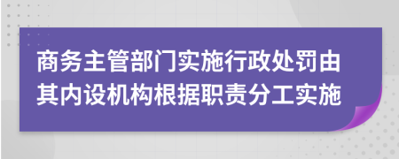 商务主管部门实施行政处罚由其内设机构根据职责分工实施