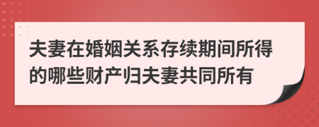 夫妻在婚姻关系存续期间所得的哪些财产归夫妻共同所有