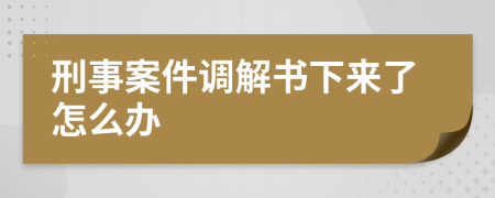 刑事案件调解书下来了怎么办