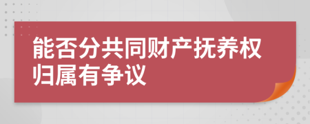 能否分共同财产抚养权归属有争议