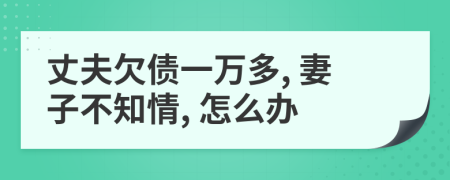 丈夫欠债一万多, 妻子不知情, 怎么办