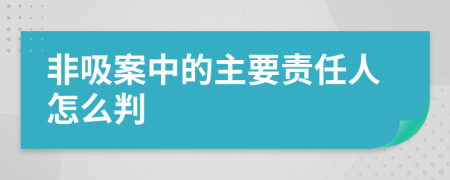 非吸案中的主要责任人怎么判