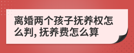 离婚两个孩子抚养权怎么判, 抚养费怎么算