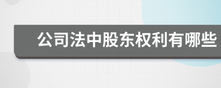 公司法中股东权利有哪些