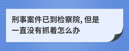 刑事案件已到检察院, 但是一直没有抓着怎么办