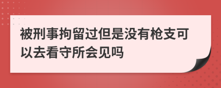 被刑事拘留过但是没有枪支可以去看守所会见吗