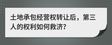 土地承包经营权转让后，第三人的权利如何救济？