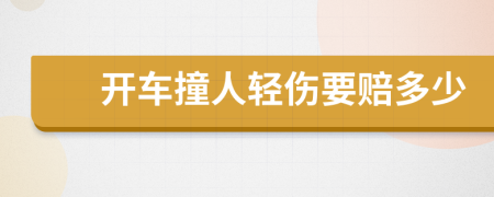 开车撞人轻伤要赔多少