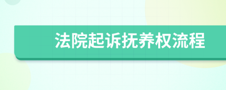 法院起诉抚养权流程