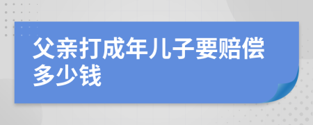 父亲打成年儿子要赔偿多少钱