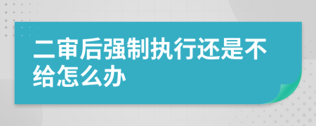 二审后强制执行还是不给怎么办