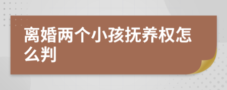 离婚两个小孩抚养权怎么判