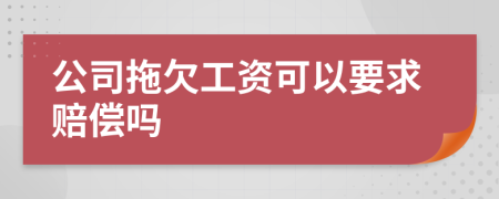 公司拖欠工资可以要求赔偿吗