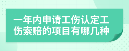 一年内申请工伤认定工伤索赔的项目有哪几种