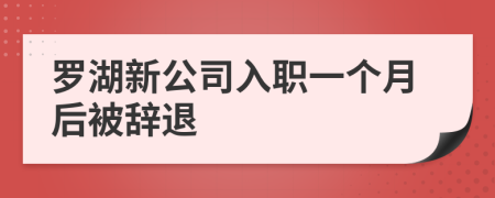 罗湖新公司入职一个月后被辞退