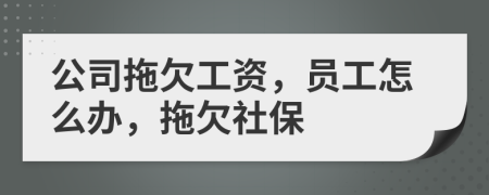 公司拖欠工资，员工怎么办，拖欠社保