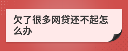 欠了很多网贷还不起怎么办