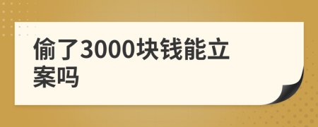 偷了3000块钱能立案吗