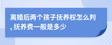 离婚后两个孩子抚养权怎么判, 抚养费一般是多少